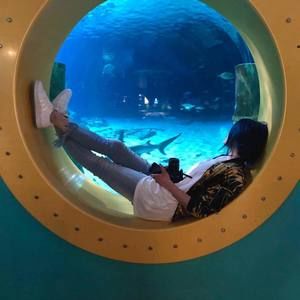 Meet your Posher, Chava